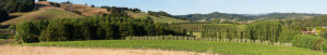 Landscape image of Plumes vineyards and hills
